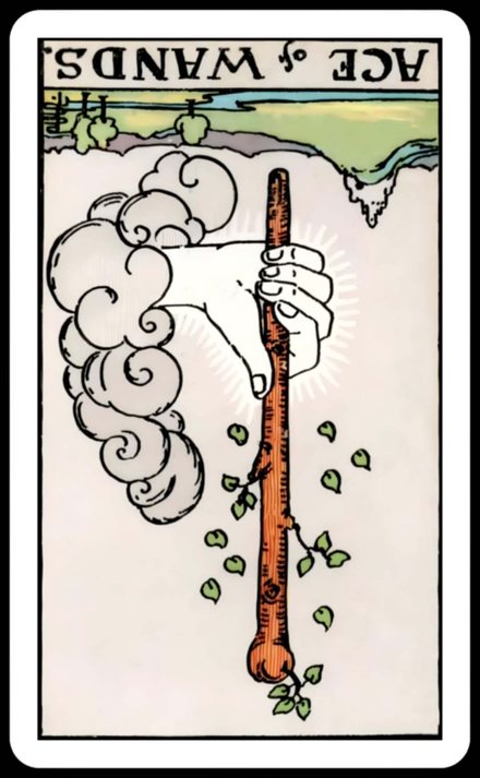 Değnek Ası ters tarot kartı